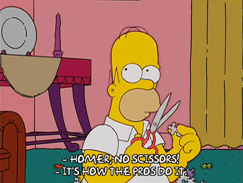 Homer Jigsaw